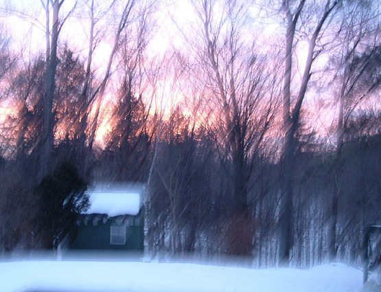 Photograph, with selective focus of a sunrise seen through a group of trees in the winter.