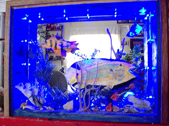 A rectangular box, that is 2 inches deep, made from rock, glass and wood, that represents a tropical fish environment.