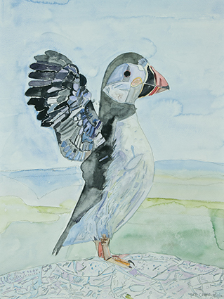 Watercolor side view of a puffin bird at the ocean, with it’s wings extended and up at it’s sides.